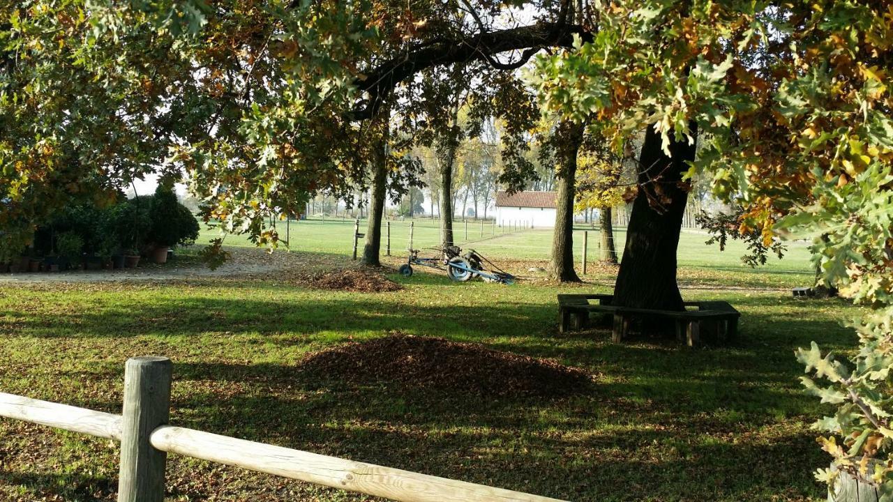 Scuderia 100 Pertiche Villa Villanterio Buitenkant foto